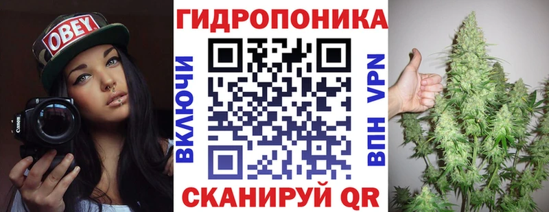 где продают наркотики  Сусуман  Бошки марихуана планчик 